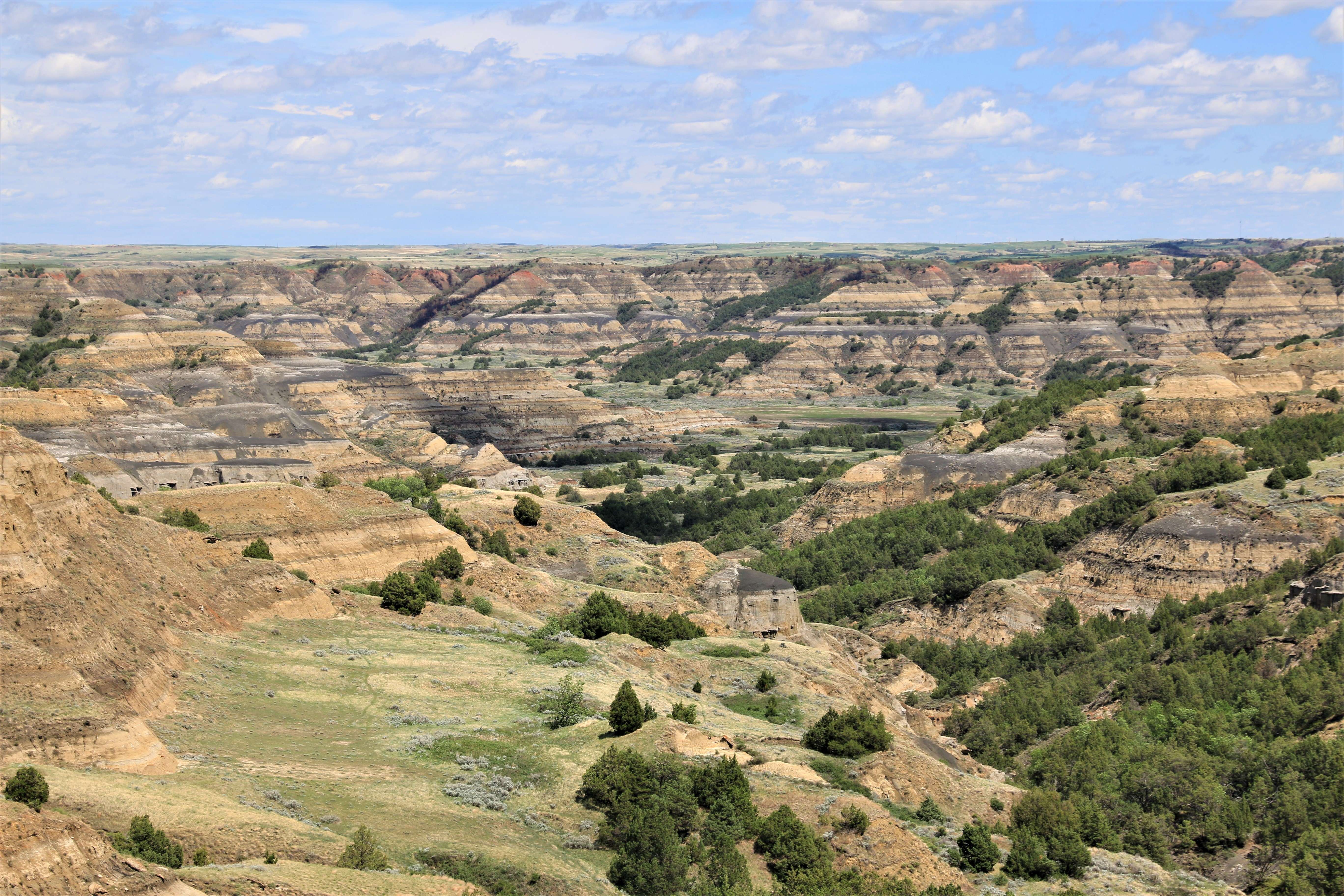 Theodore Roosevelt NP